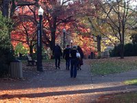 24 November 2018 Football and the Opry